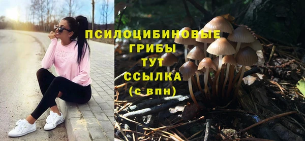 мет Горно-Алтайск