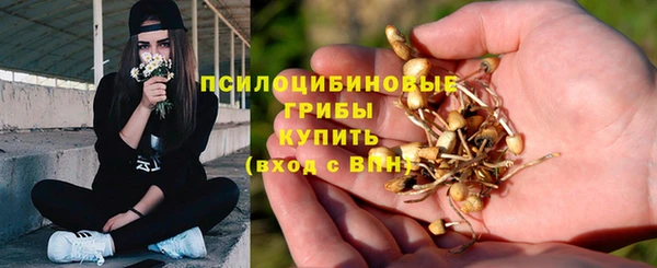 соль курить ск Гусев