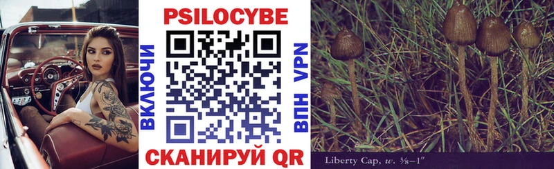 Галлюциногенные грибы Psilocybine cubensis  Купить закладки  Котельниково 